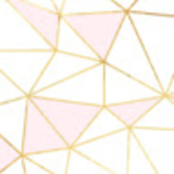 Meet your Posher, Abby - Picture 1 of 1